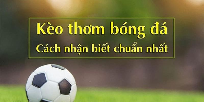 Tổng quan cách chọn kèo thơm