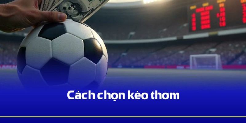 Lời khuyên cách chọn kèo thơm