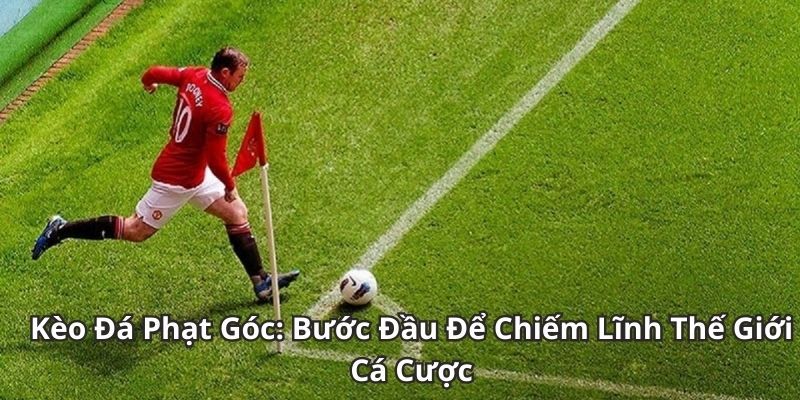 Kèo phạt góc dịch vụ