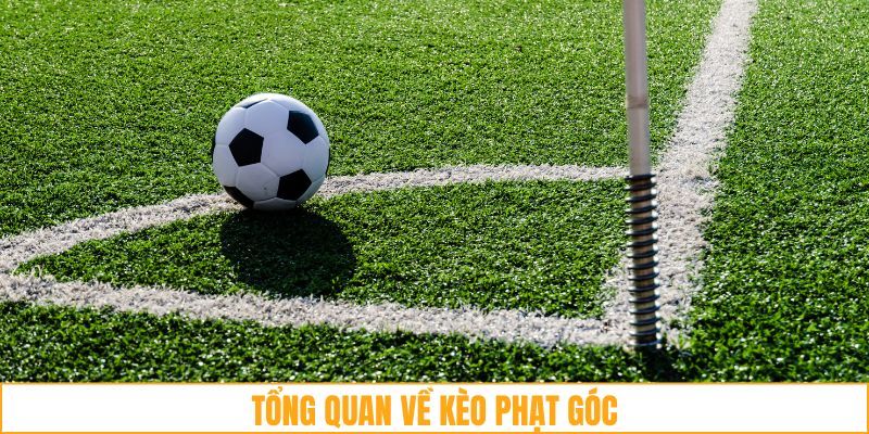 Tổng quan kèo phạt góc trực tiếp