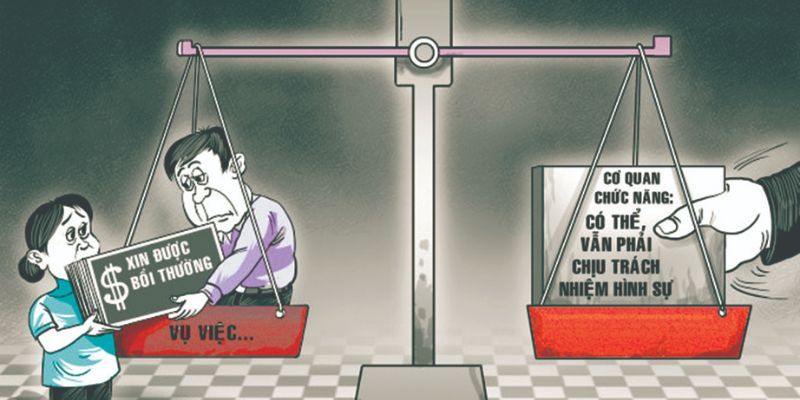 Trường hợp khiếu nại và bồi thường